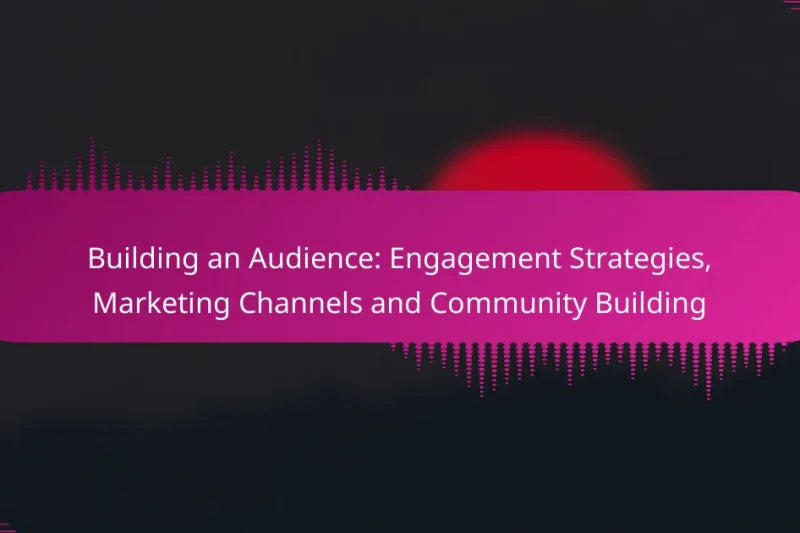 Building an Audience: Engagement Strategies, Marketing Channels and Community Building