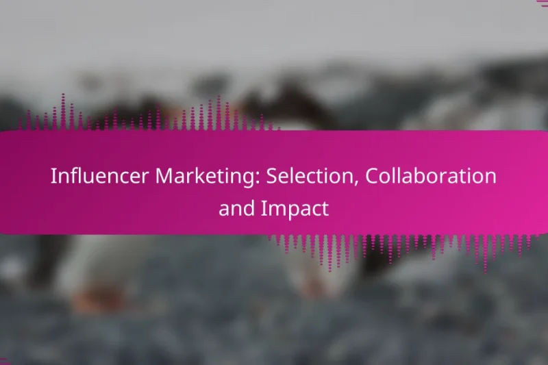 Influencer Marketing: Selection, Collaboration and Impact