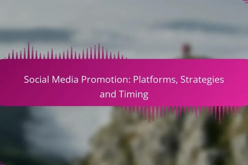Social Media Promotion: Platforms, Strategies and Timing