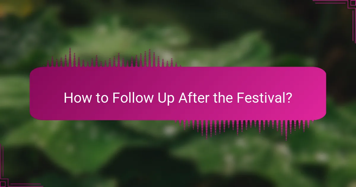 How to Follow Up After the Festival?