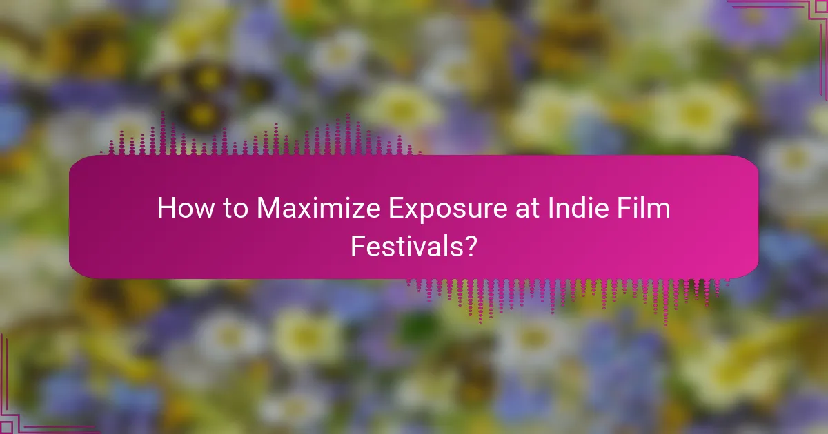 How to Maximize Exposure at Indie Film Festivals?