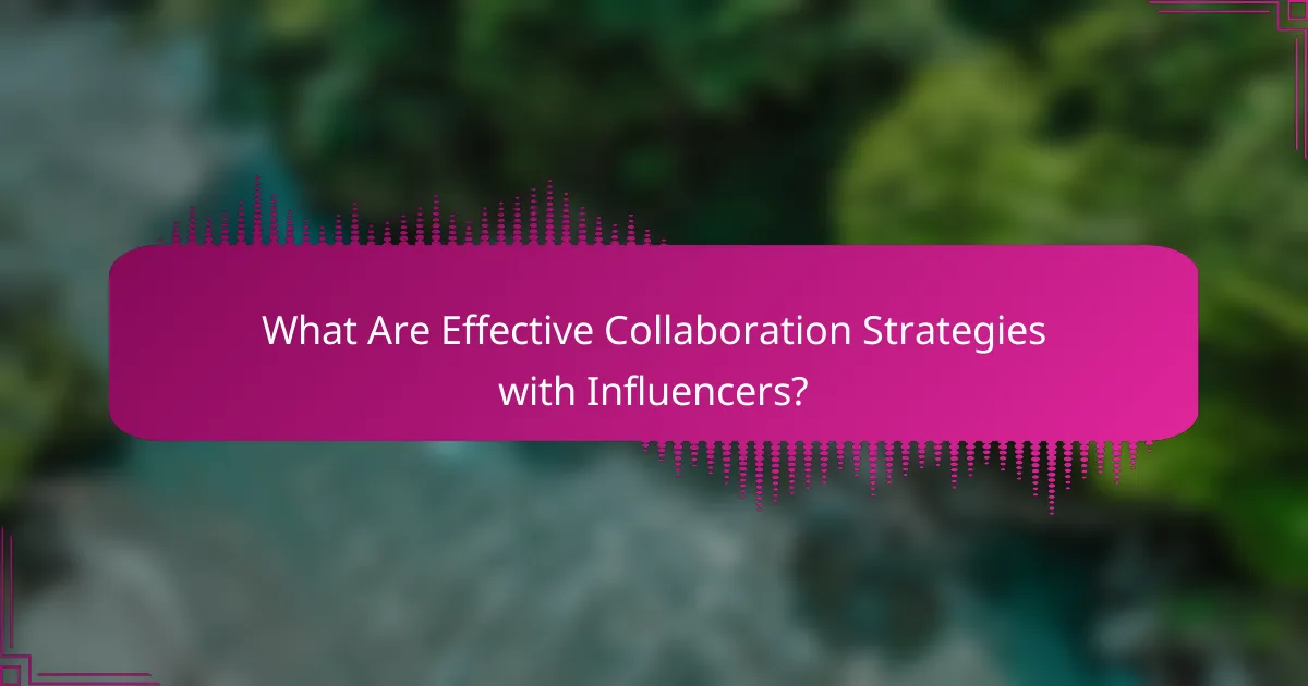 What Are Effective Collaboration Strategies with Influencers?