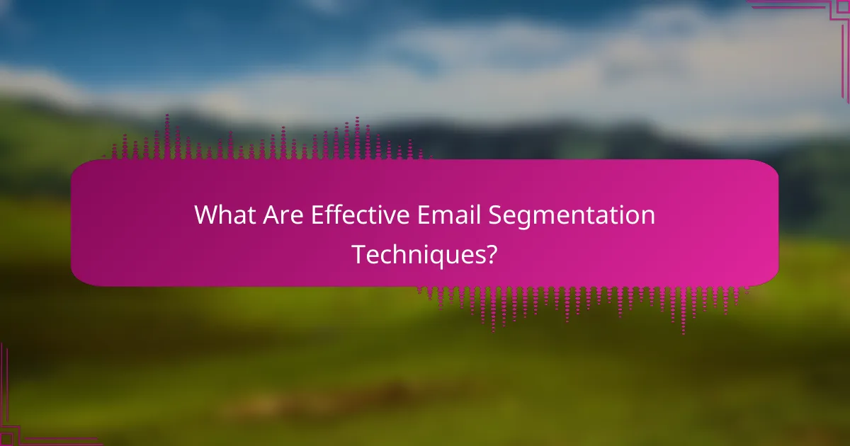 What Are Effective Email Segmentation Techniques?
