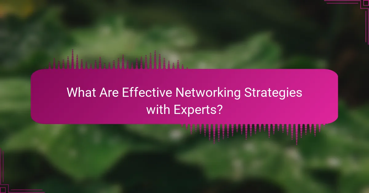 What Are Effective Networking Strategies with Experts?