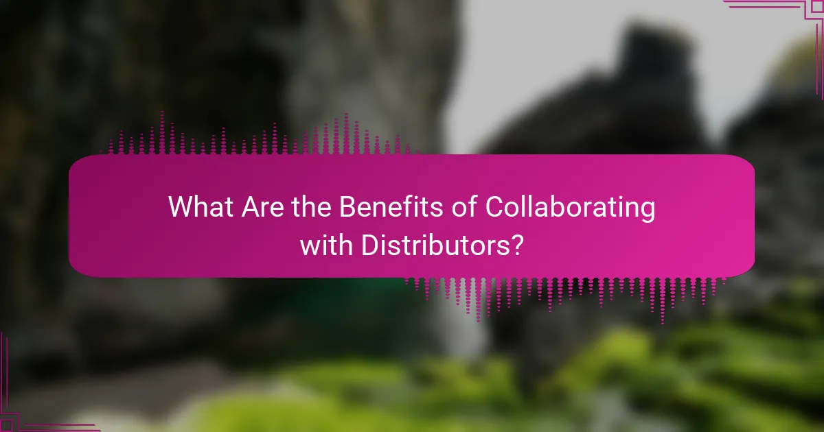 What Are the Benefits of Collaborating with Distributors?