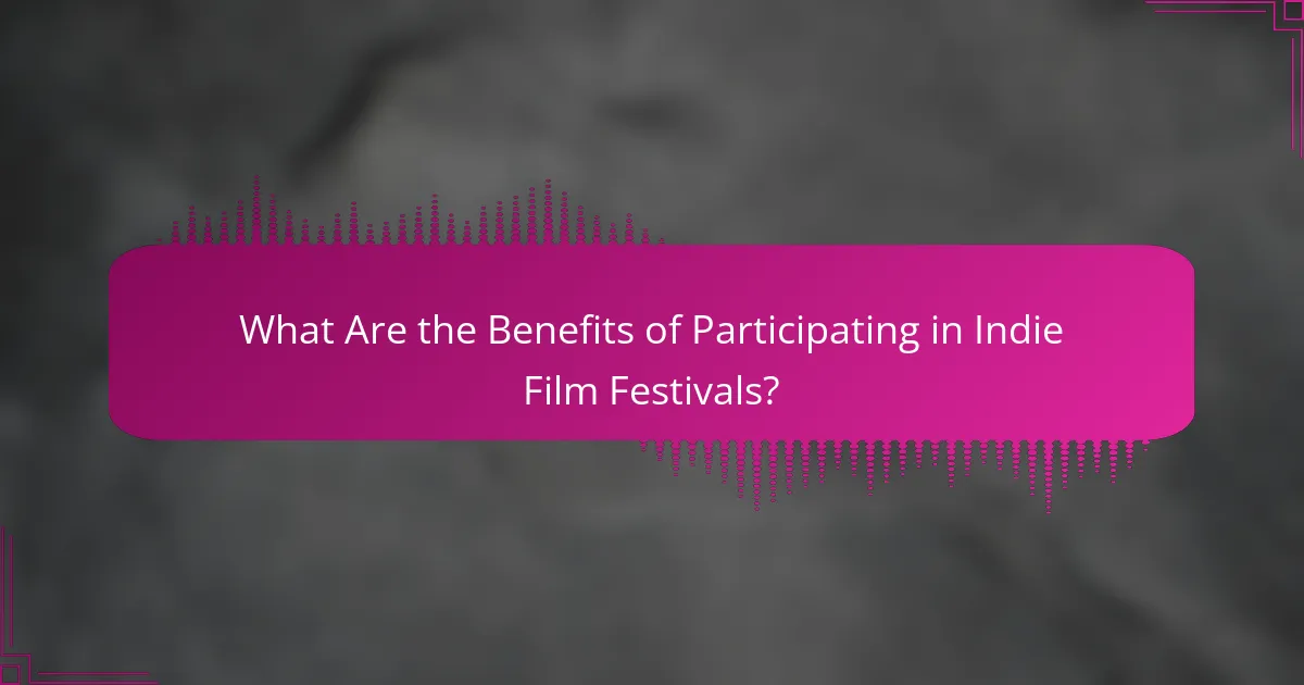 What Are the Benefits of Participating in Indie Film Festivals?