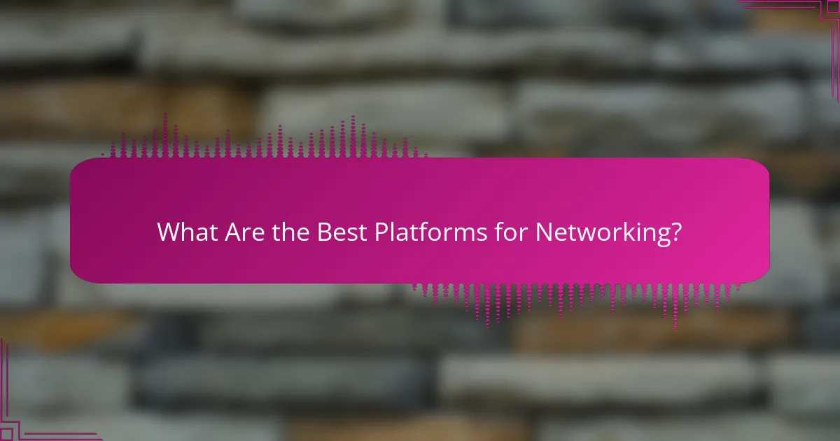 What Are the Best Platforms for Networking?