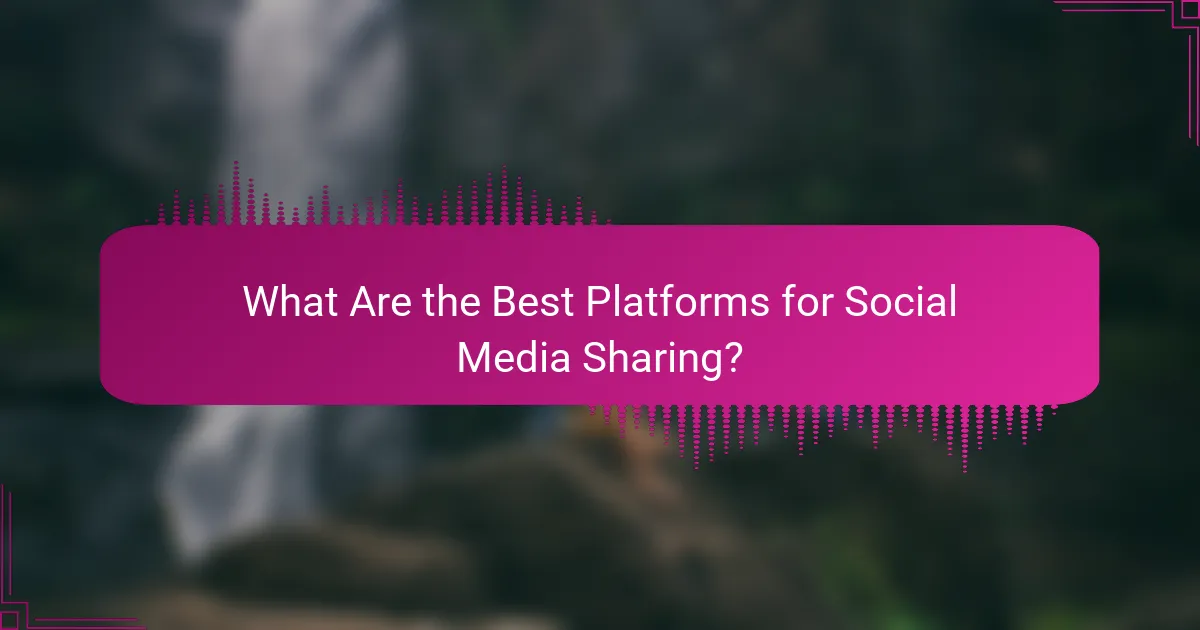 What Are the Best Platforms for Social Media Sharing?