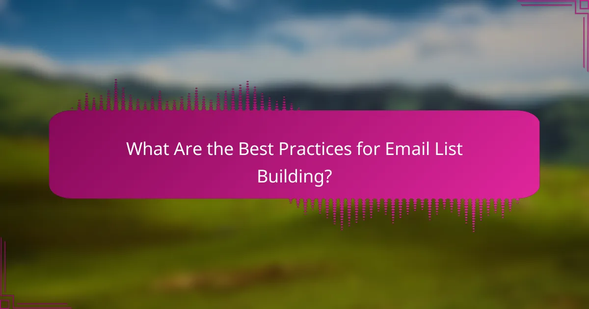 What Are the Best Practices for Email List Building?