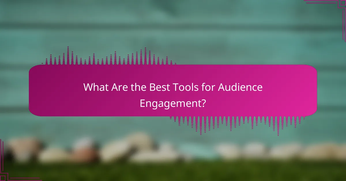 What Are the Best Tools for Audience Engagement?