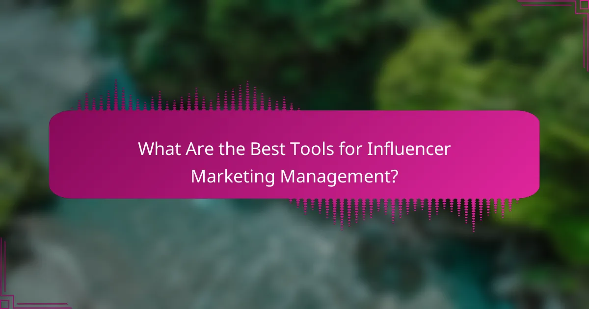 What Are the Best Tools for Influencer Marketing Management?
