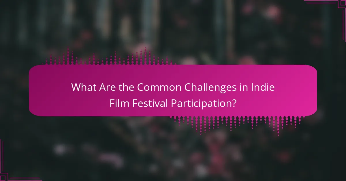 What Are the Common Challenges in Indie Film Festival Participation?