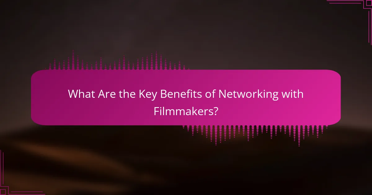 What Are the Key Benefits of Networking with Filmmakers?