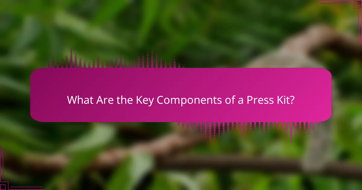 What Are the Key Components of a Press Kit?
