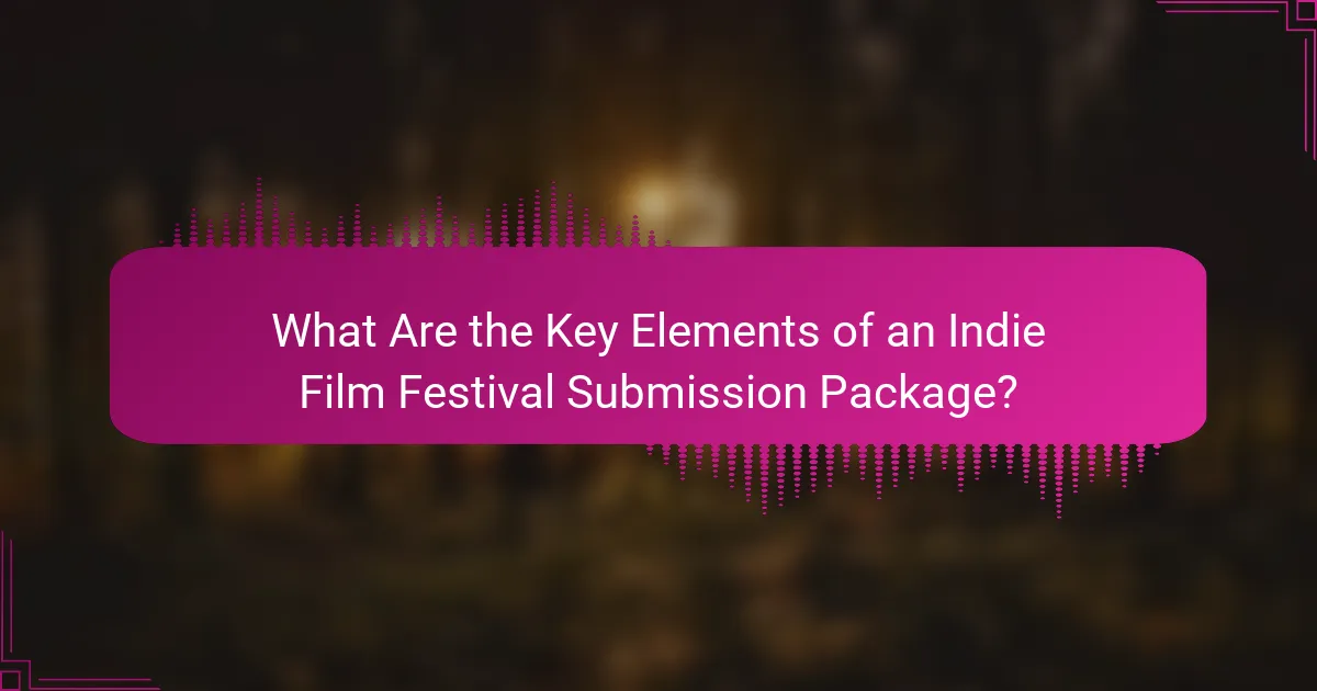 What Are the Key Elements of an Indie Film Festival Submission Package?