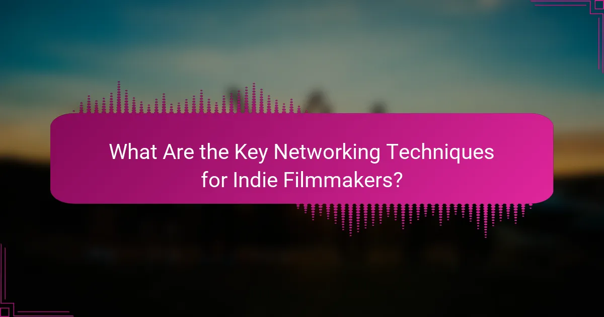What Are the Key Networking Techniques for Indie Filmmakers?