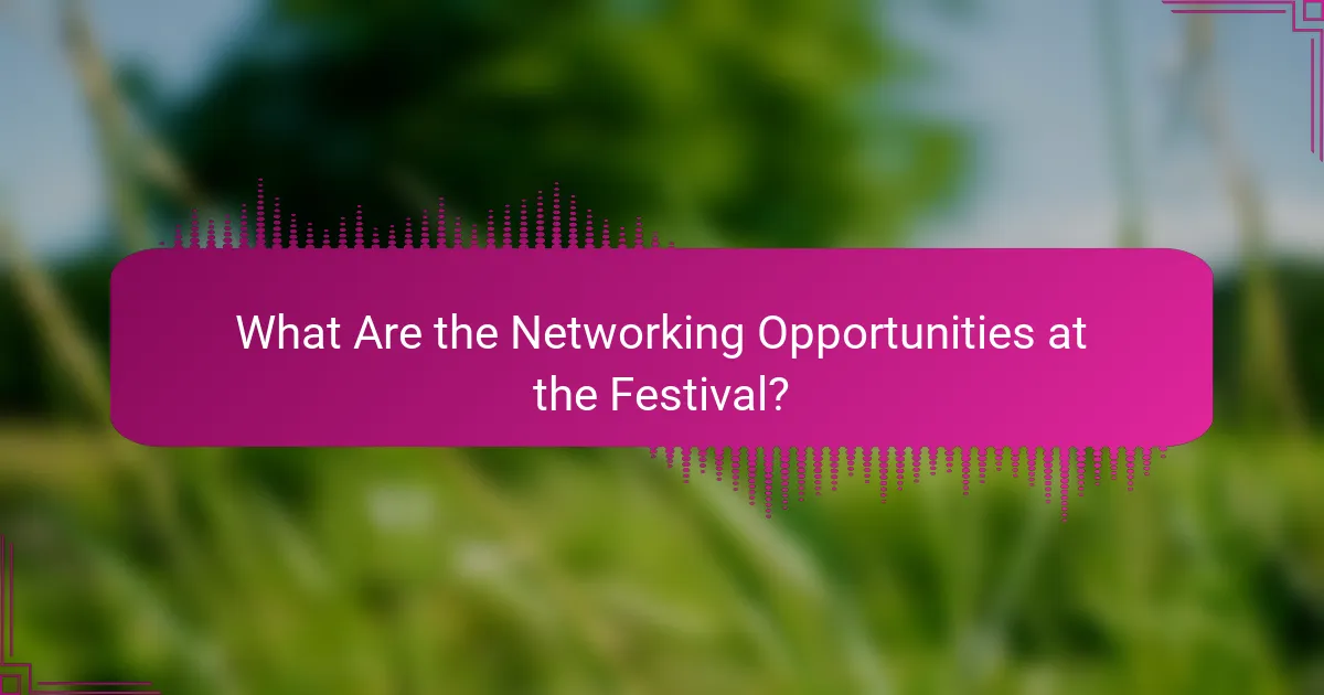 What Are the Networking Opportunities at the Festival?