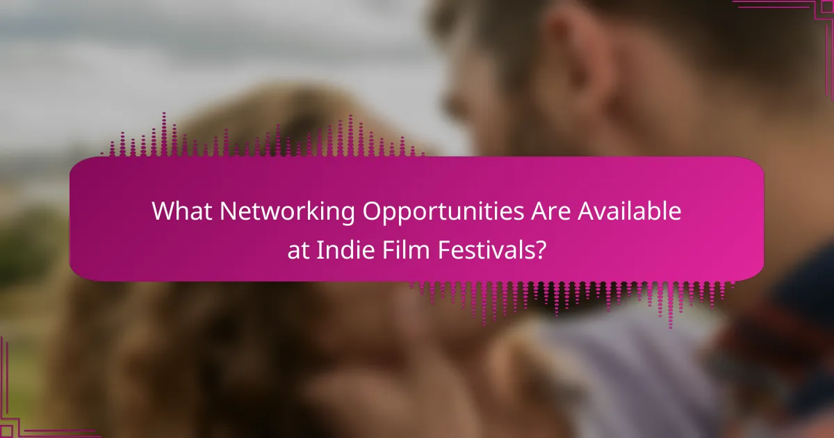 What Networking Opportunities Are Available at Indie Film Festivals?