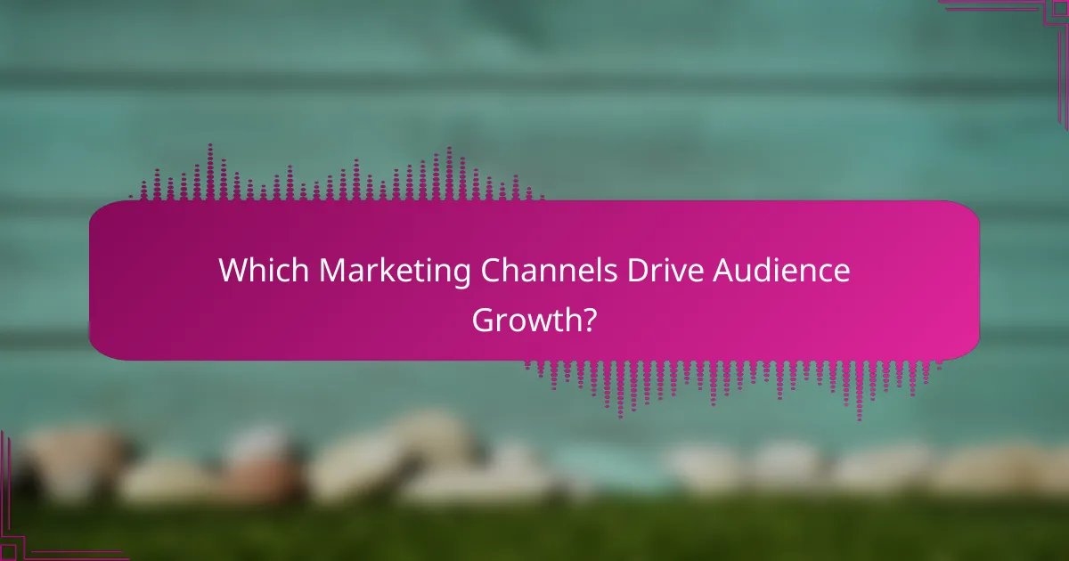 Which Marketing Channels Drive Audience Growth?
